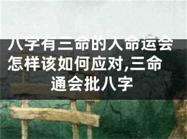 八字有三命的人命运会怎样该如何应对,三命通会批八字