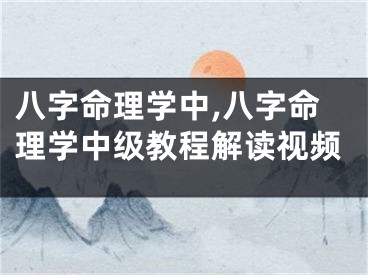 八字命理学中,八字命理学中级教程解读视频