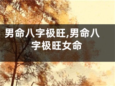 男命八字极旺,男命八字极旺女命