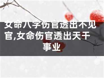 女命八字伤官透出不见官,女命伤官透出天干事业