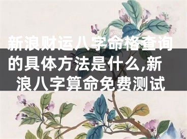新浪财运八字命格查询的具体方法是什么,新浪八字算命免费测试
