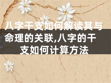 八字干支如何解读其与命理的关联,八字的干支如何计算方法