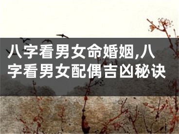 八字看男女命婚姻,八字看男女配偶吉凶秘诀