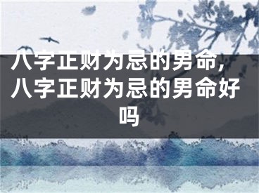 八字正财为忌的男命,八字正财为忌的男命好吗