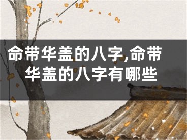命带华盖的八字,命带华盖的八字有哪些