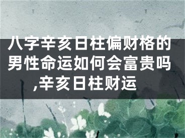 八字辛亥日柱偏财格的男性命运如何会富贵吗,辛亥日柱财运