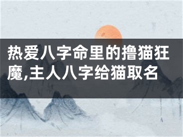热爱八字命里的撸猫狂魔,主人八字给猫取名