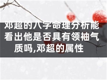邓超的八字命理分析能看出他是否具有领袖气质吗,邓超的属性