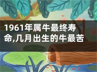 1961年属牛最终寿命,几月出生的牛最苦