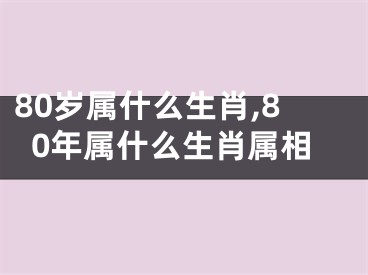 80岁属什么生肖,80年属什么生肖属相