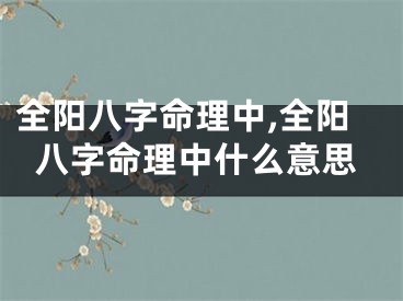 全阳八字命理中,全阳八字命理中什么意思
