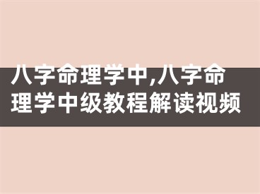 八字命理学中,八字命理学中级教程解读视频