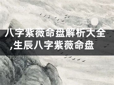 八字紫薇命盘解析大全,生辰八字紫薇命盘