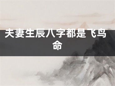 夫妻生辰八字都是飞鸟命