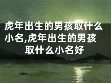 虎年出生的男孩取什么小名,虎年出生的男孩取什么小名好