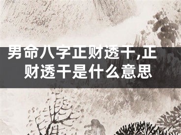 男命八字正财透干,正财透干是什么意思