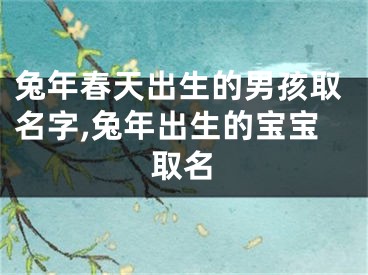 兔年春天出生的男孩取名字,兔年出生的宝宝取名