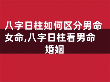 八字日柱如何区分男命女命,八字日柱看男命婚姻