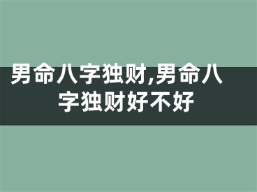 男命八字独财,男命八字独财好不好