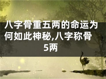 八字骨重五两的命运为何如此神秘,八字称骨5两