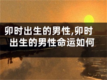 卯时出生的男性,卯时出生的男性命运如何
