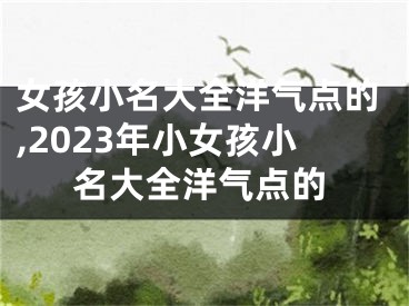女孩小名大全洋气点的,2023年小女孩小名大全洋气点的