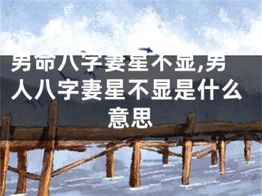 男命八字妻星不显,男人八字妻星不显是什么意思