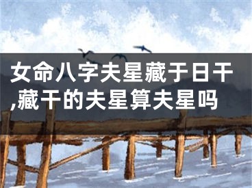 女命八字夫星藏于日干,藏干的夫星算夫星吗