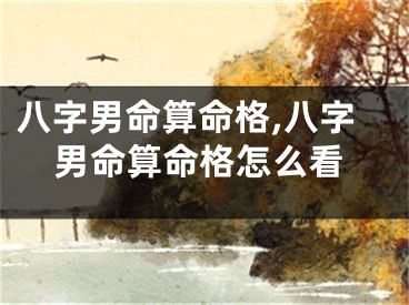 八字男命算命格,八字男命算命格怎么看