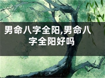 男命八字全阳,男命八字全阳好吗