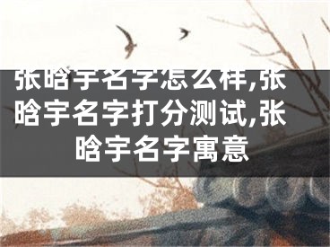 张晗宇名字怎么样,张晗宇名字打分测试,张晗宇名字寓意