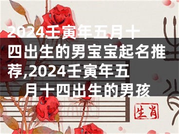 2024壬寅年五月十四出生的男宝宝起名推荐,2024壬寅年五月十四出生的男孩