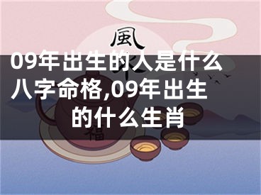 09年出生的人是什么八字命格,09年出生的什么生肖