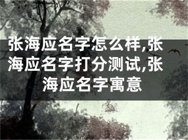张海应名字怎么样,张海应名字打分测试,张海应名字寓意