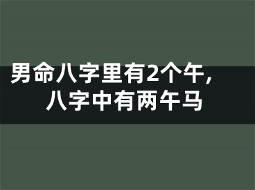 男命八字里有2个午,八字中有两午马