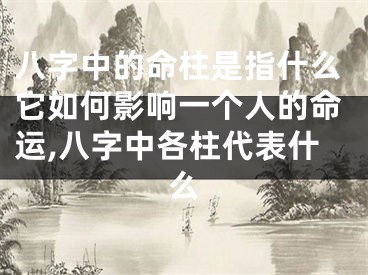 八字中的命柱是指什么它如何影响一个人的命运,八字中各柱代表什么