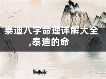 泰迪八字命理详解大全,泰迪的命