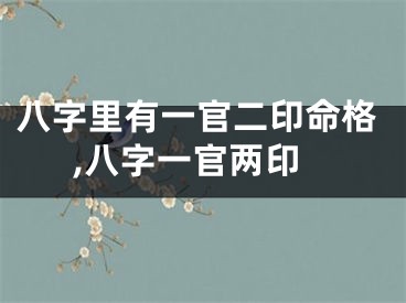 八字里有一官二印命格,八字一官两印