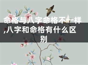 命格与八字命格不一样,八字和命格有什么区别