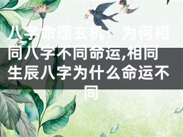 八字命理玄机:为何相同八字不同命运,相同生辰八字为什么命运不同