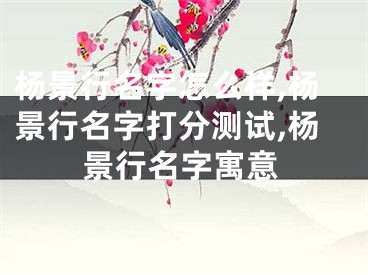 杨景行名字怎么样,杨景行名字打分测试,杨景行名字寓意