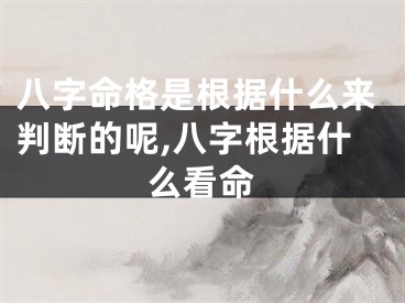 八字命格是根据什么来判断的呢,八字根据什么看命