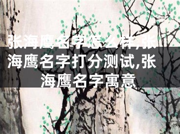 张海鹰名字怎么样,张海鹰名字打分测试,张海鹰名字寓意