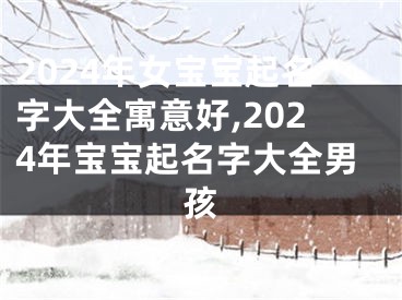 2024年女宝宝起名字大全寓意好,2024年宝宝起名字大全男孩