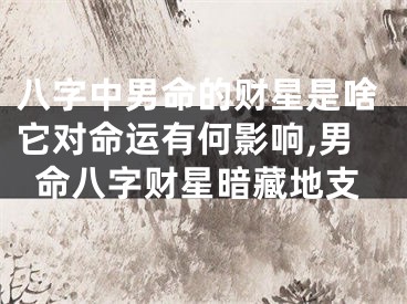 八字中男命的财星是啥它对命运有何影响,男命八字财星暗藏地支