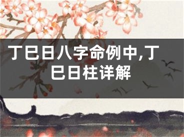 丁巳日八字命例中,丁巳日柱详解
