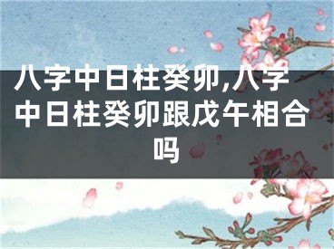 八字中日柱癸卯,八字中日柱癸卯跟戊午相合吗