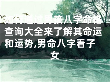 如何通过男孩八字命格查询大全来了解其命运和运势,男命八字看子女