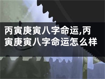 丙寅庚寅八字命运,丙寅庚寅八字命运怎么样