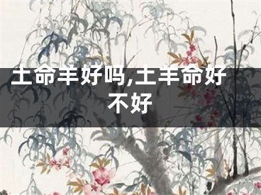 土命羊好吗,土羊命好不好